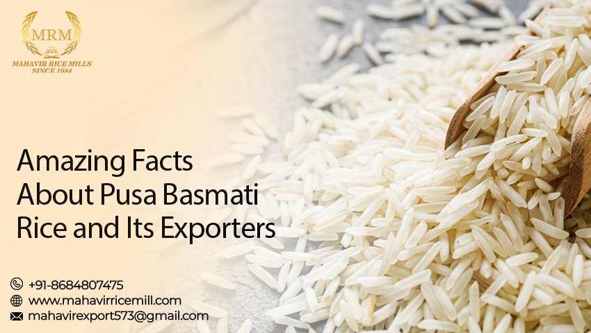 Pusa Basmati Rice Exporters 